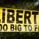 Illustration for article titled This is Burning Man for Libertarians